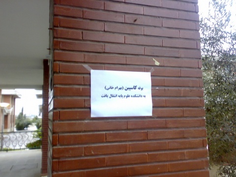 تصویر جالب! 17