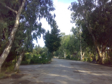 خوابگاه شهید نواب صفوی 30
