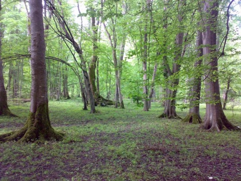 mazandaran-nour 2