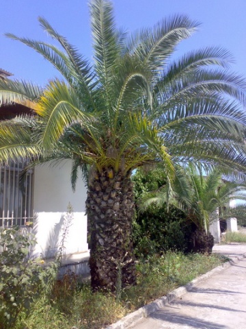 tebestan-khabgah-navab 29