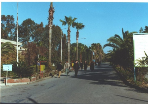 umz 22