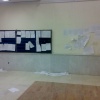 jeleb 3