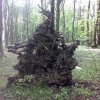 mazandaran-nour 0