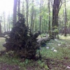 mazandaran-nour 3